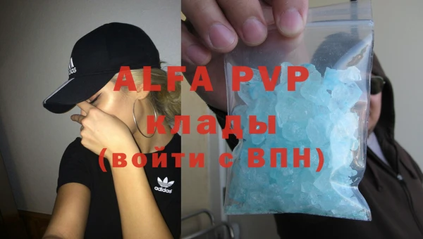 apvp Няндома