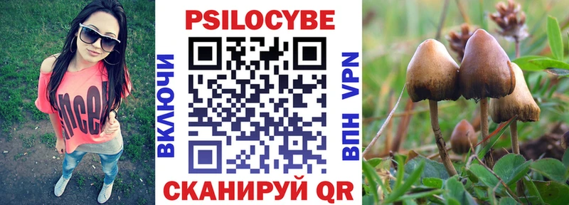 Псилоцибиновые грибы прущие грибы Топки