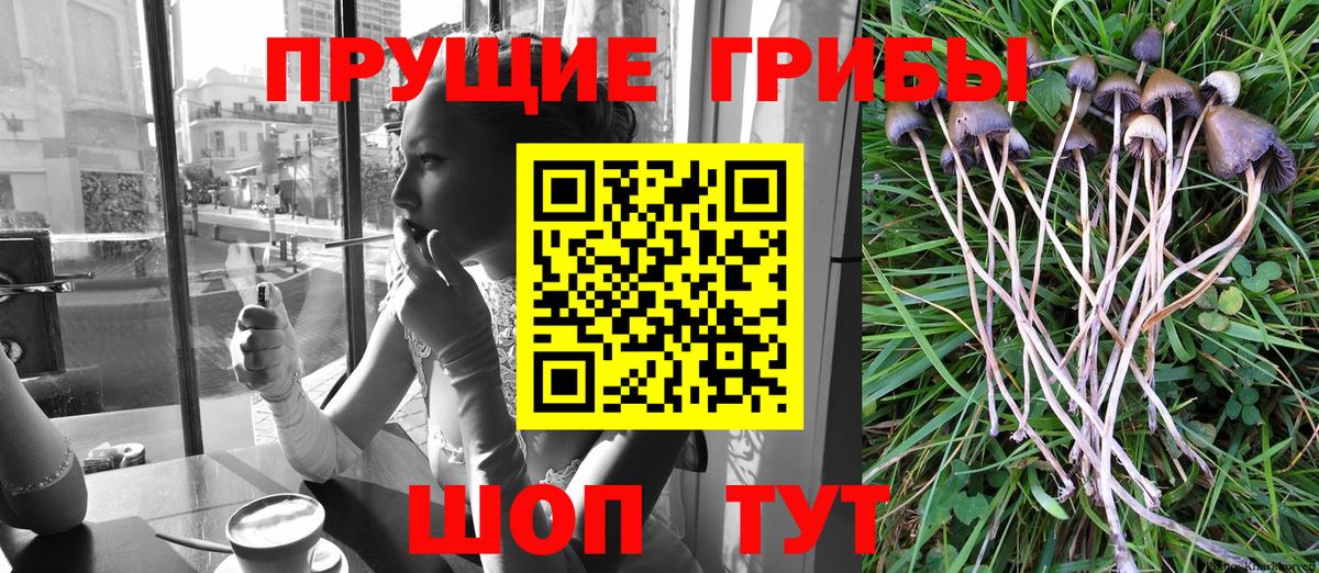 Топки  Псилоцибиновые грибы ЛСД  Вход с VPN 