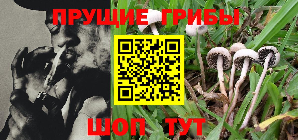 Псилоцибиновые грибы мухоморы Топки
